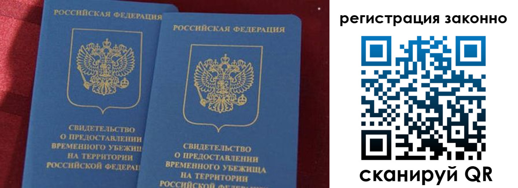 прописка в Светлогорске